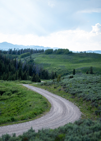 御姐很哀伤在线观看 御姐很哀伤在线观看