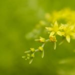 爱看中文网 z1wockk7